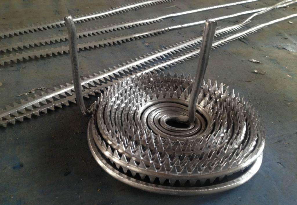 1769418275449853.jpg 陰極線 (5).jpg